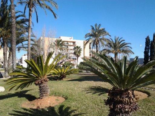 Primera Linea En Playa Sur. Plaza Constitucion Peñíscola Εξωτερικό φωτογραφία